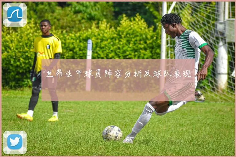 里昂法甲球员阵容分析及球队表现